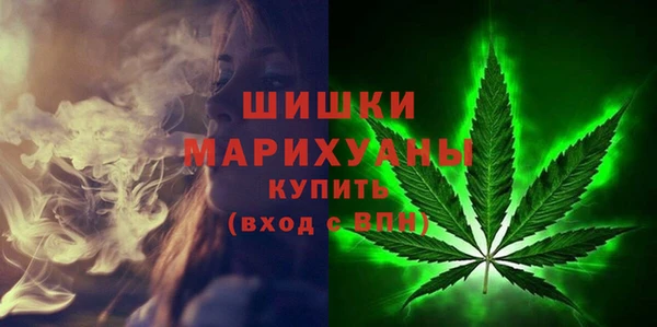 спиды Новодвинск