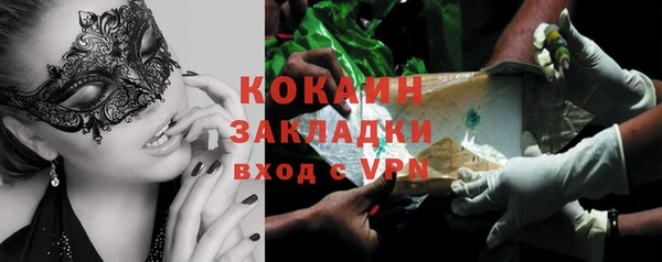 шишки Верея