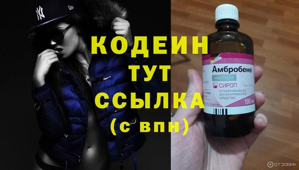 спиды Новодвинск