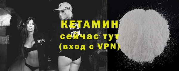 шишки Верея