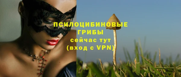 apvp Новокубанск