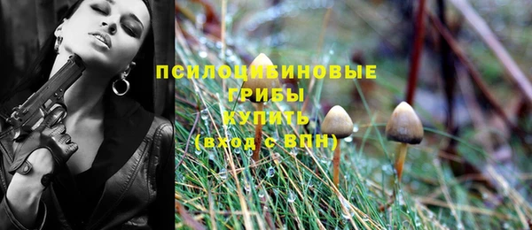 герыч Новозыбков