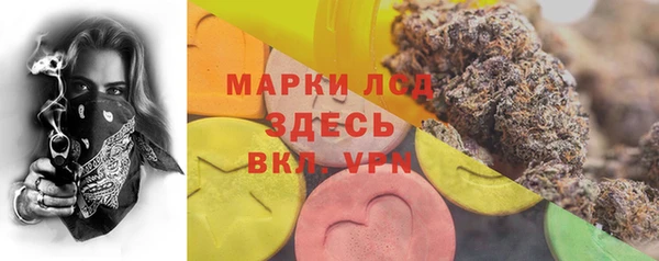 шишки Верея