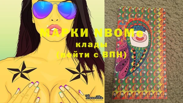 спиды Новодвинск