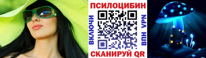 Псилоцибиновые грибы Cubensis дарк нет состав Вилючинск сколько стоит